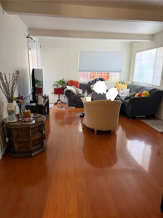 Aylin's room