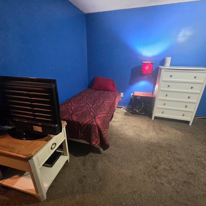 Figrin's room