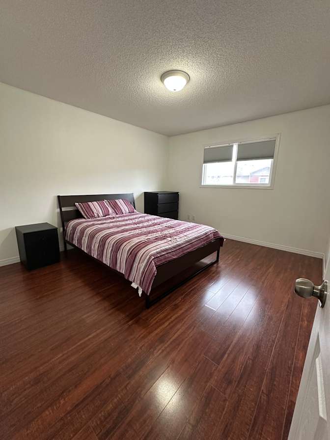 Shawn's room