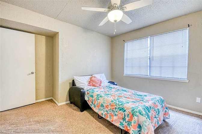 Alon's room