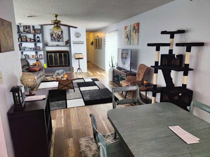 Mark Fain's room