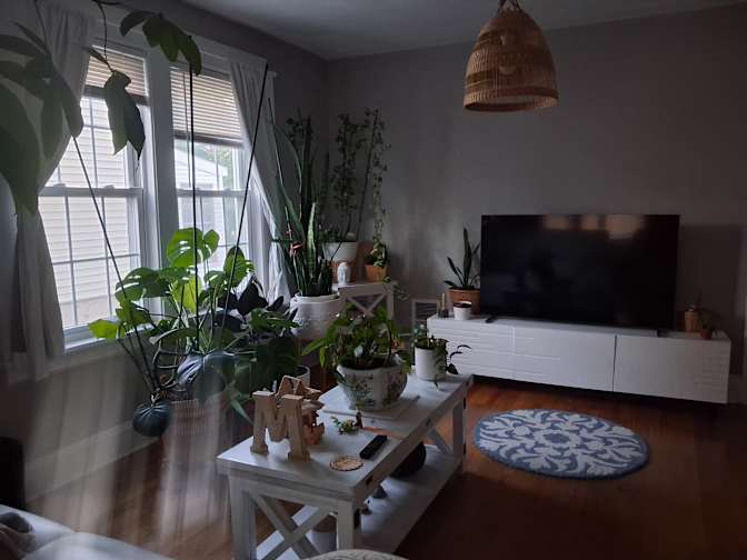 Marla Velez's room