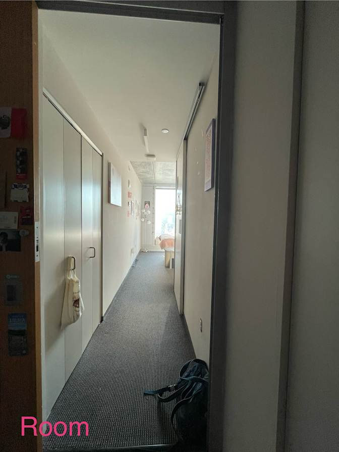 ani's room