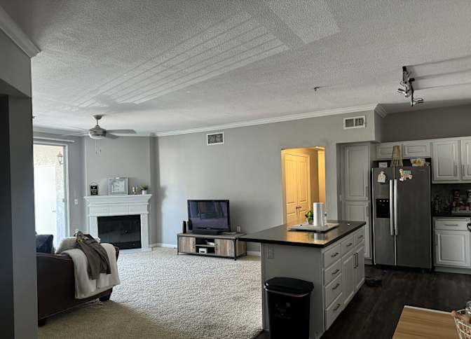 Alicia's room