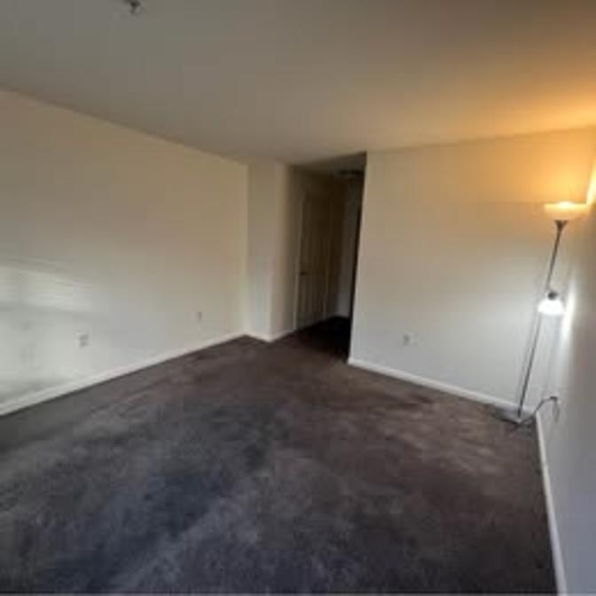 Peter's room