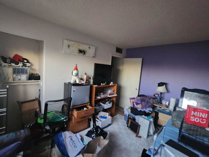 Monika-Elma's room