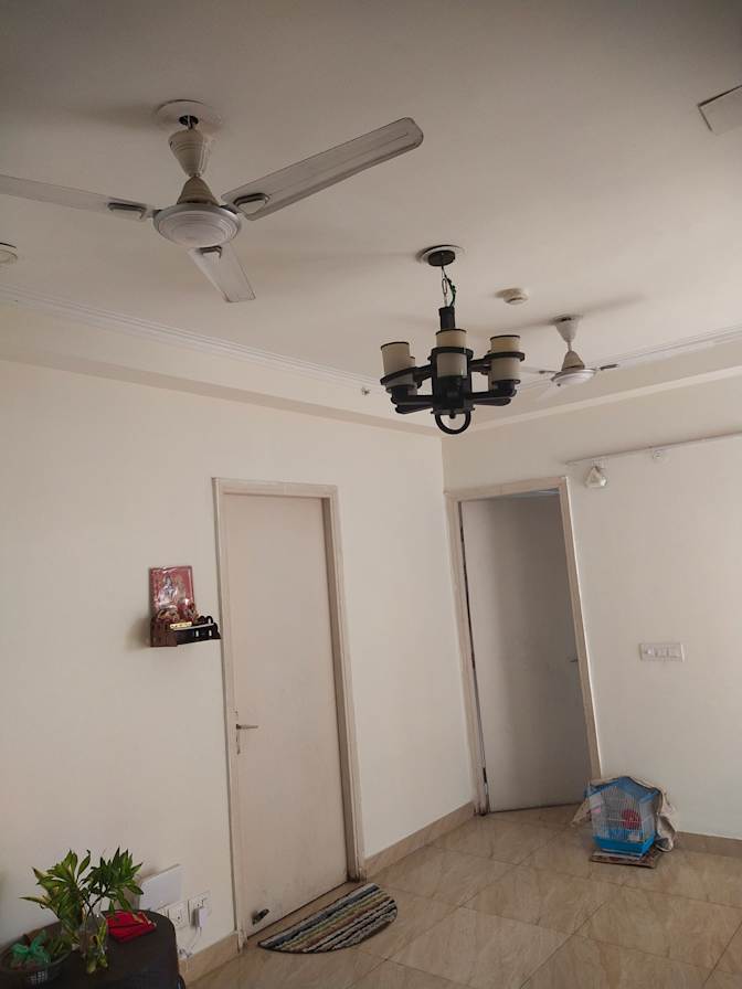 Anvee's room