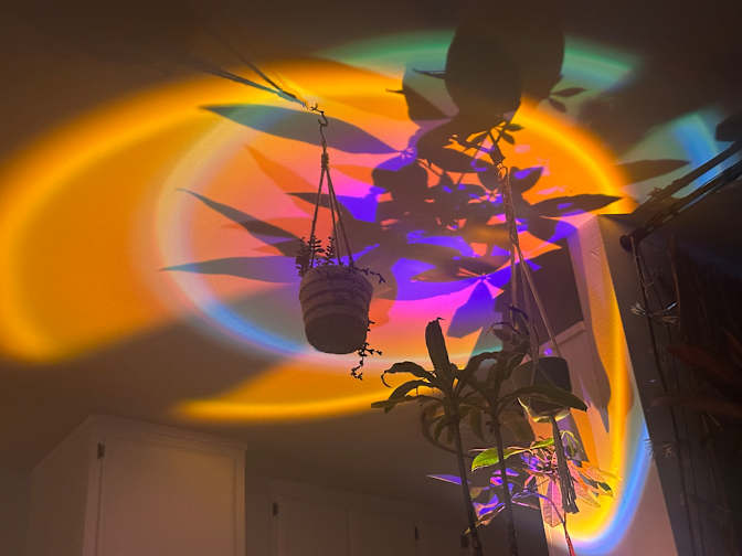 Willow's room