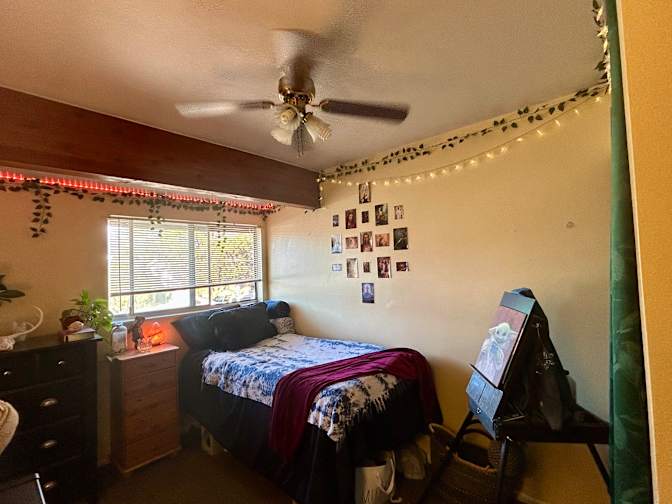 Dianne's room