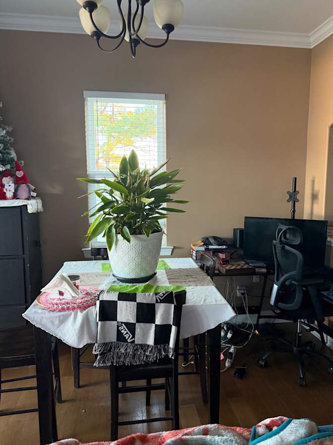 PadSplit's room