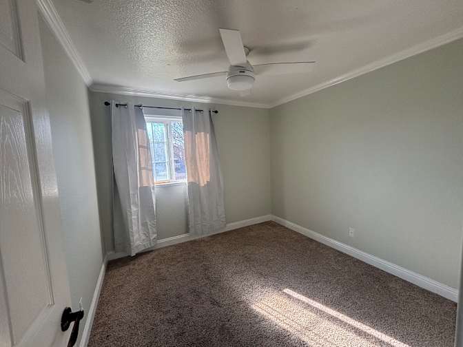 Kirstina Sang's room