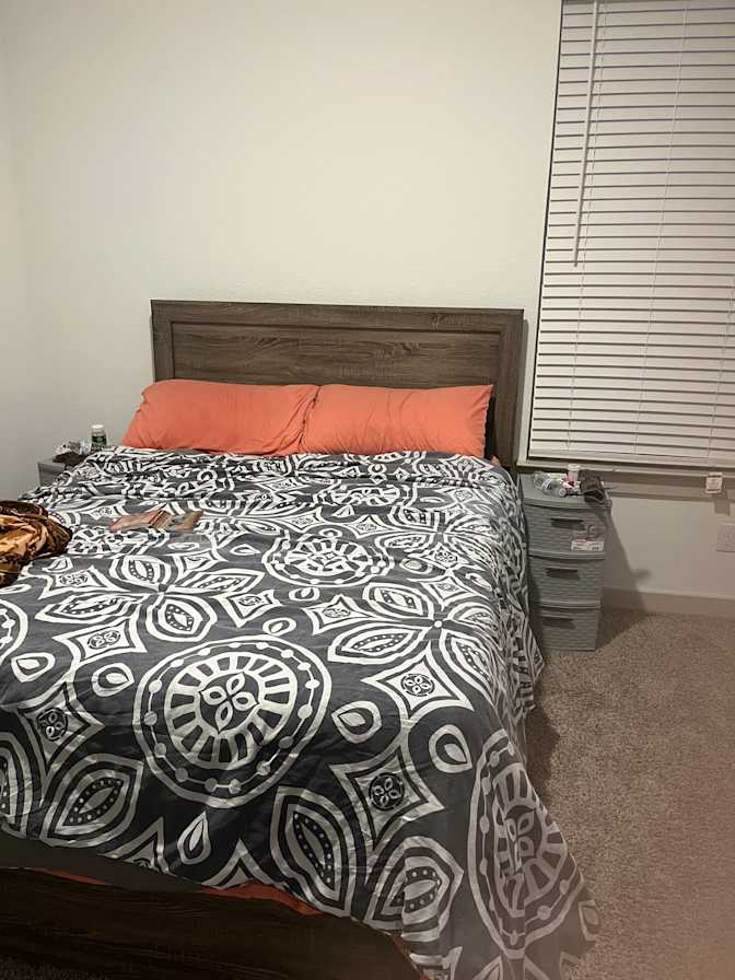 Mahwish Nasir's room