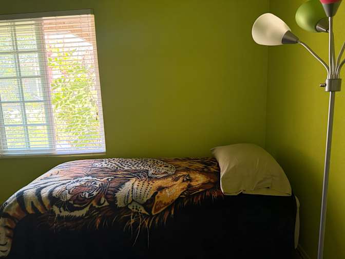 Evangeline Constantino's room