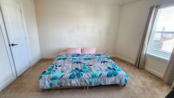 Mary's room