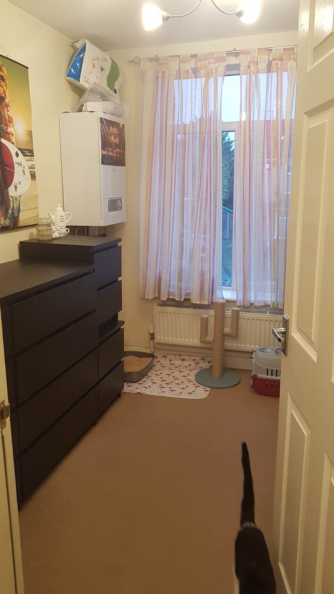 Mark's room