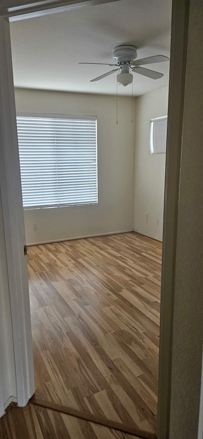 Tan's room