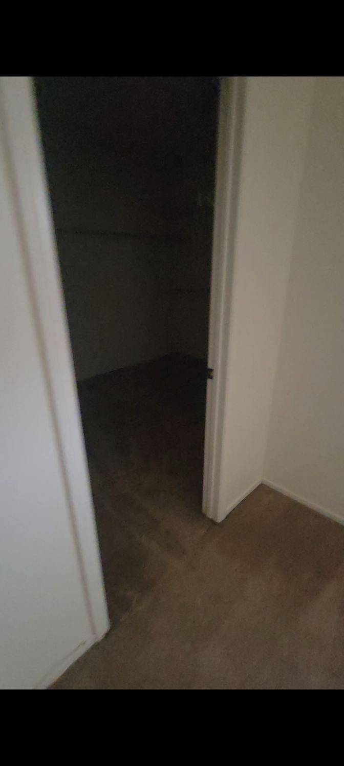 Lynn's room