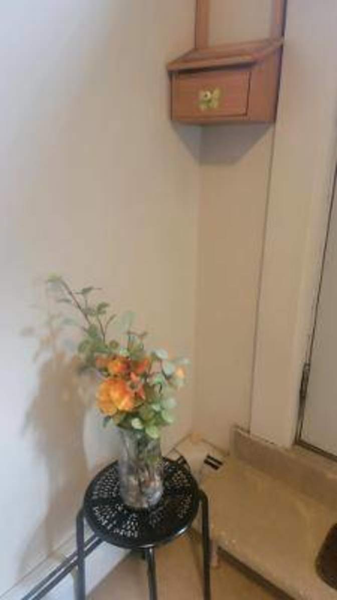 Mary's room