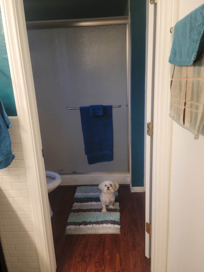 Sean's room