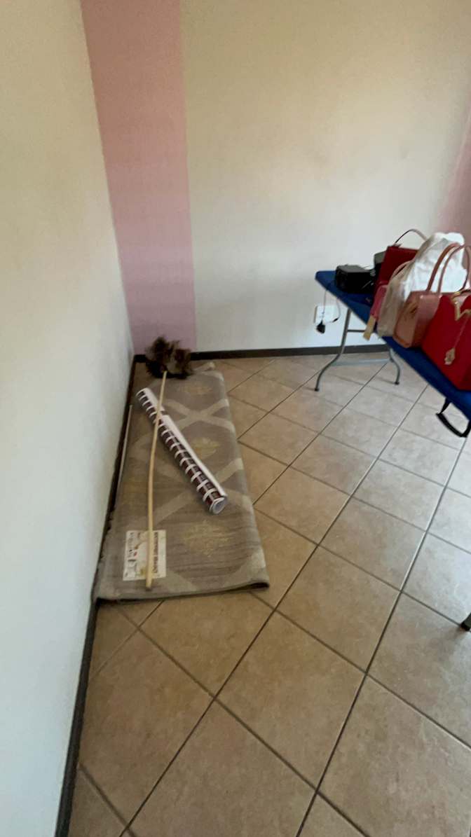 Siphesihle Zuma's room