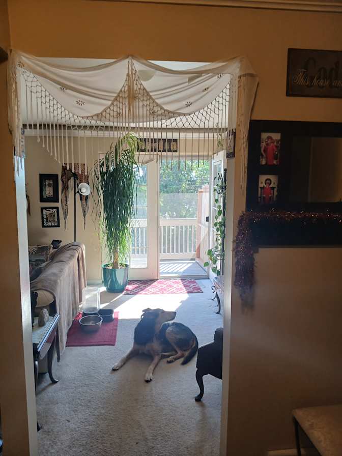 Christi's room