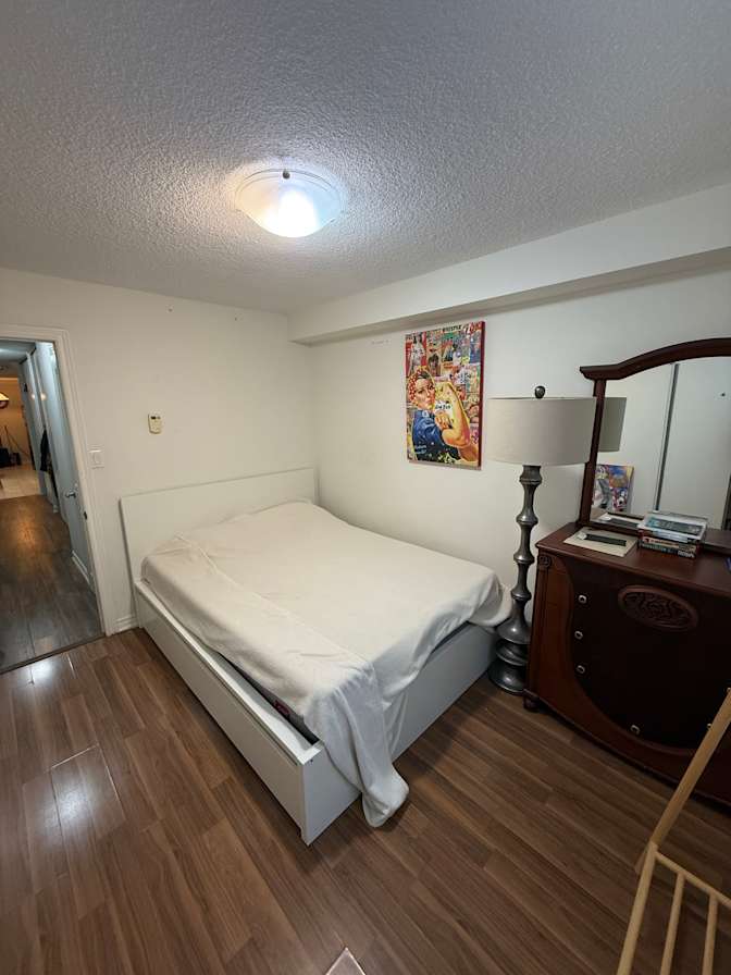 Dmitry's room