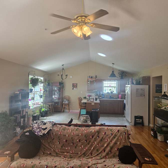 Lauren E's room