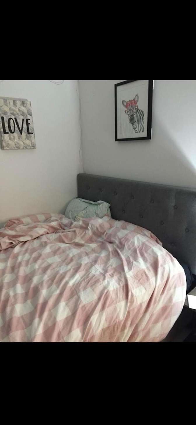 Hani's room