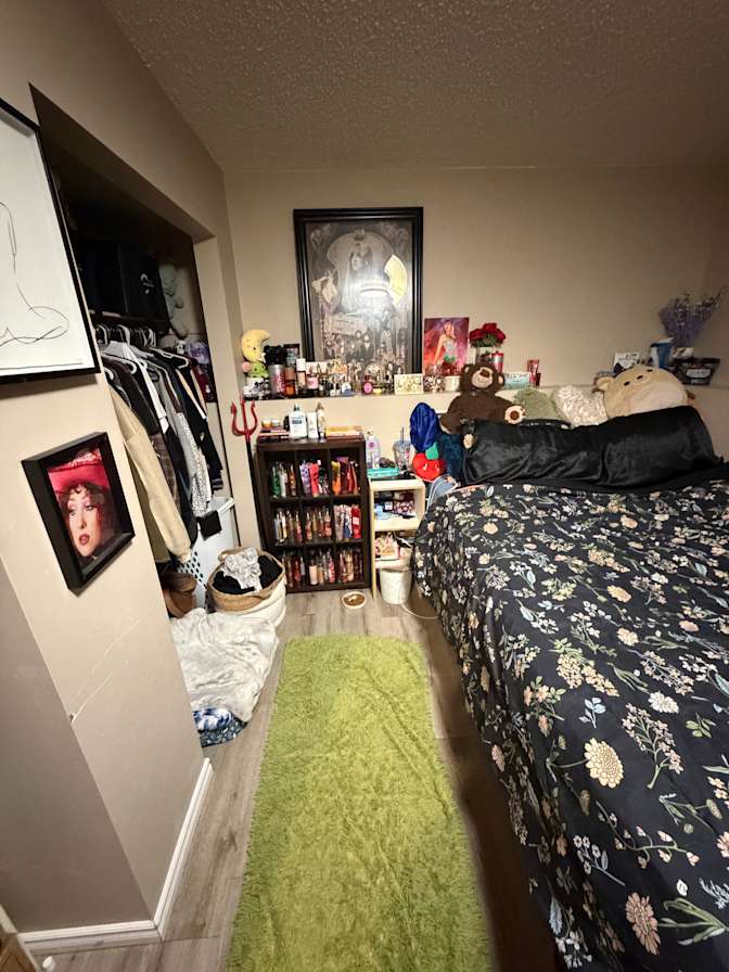 Cassidy's room