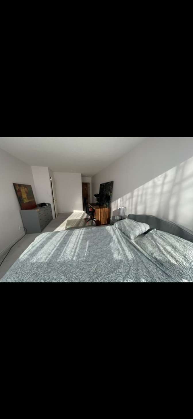 Sheila's room