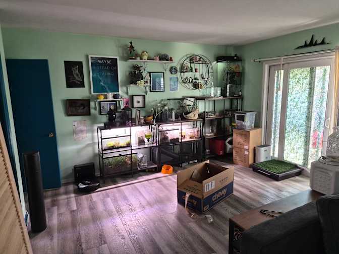 Nicole Chen's room