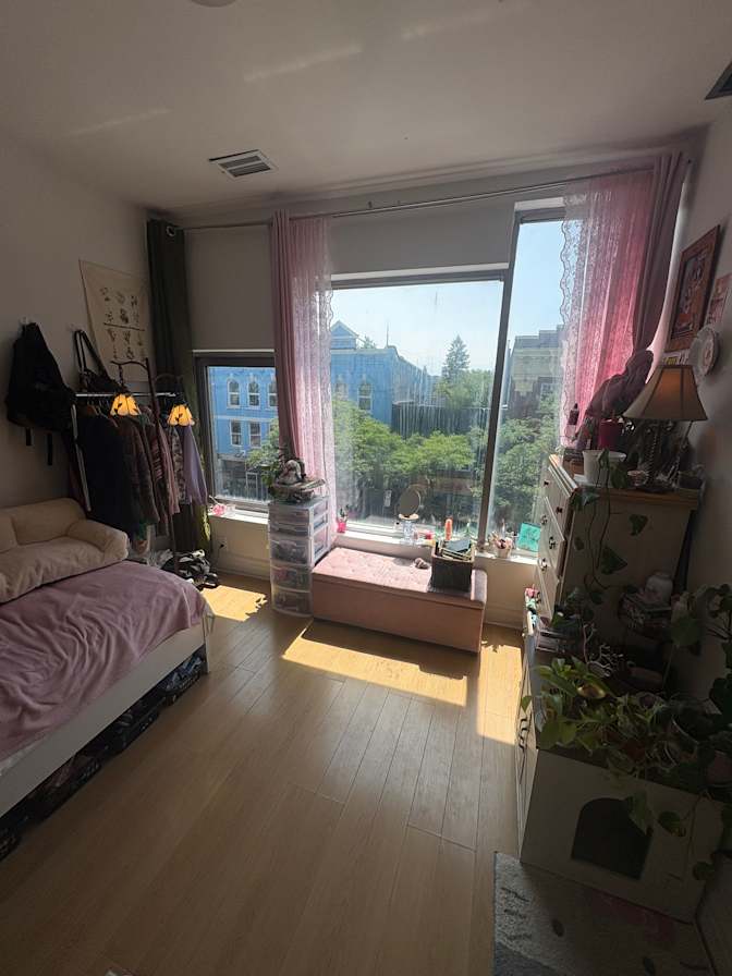 rashin's room