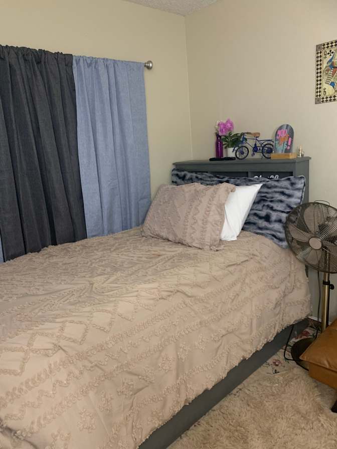 Dayanitza's room
