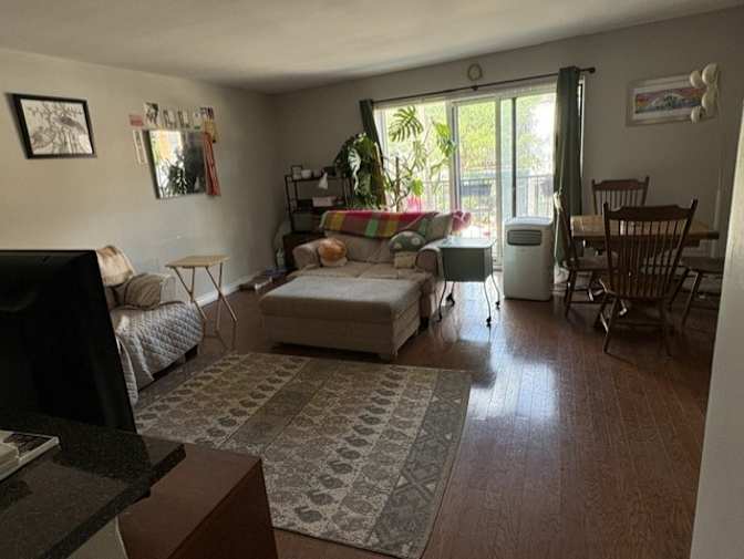 Ayden Mauro's room
