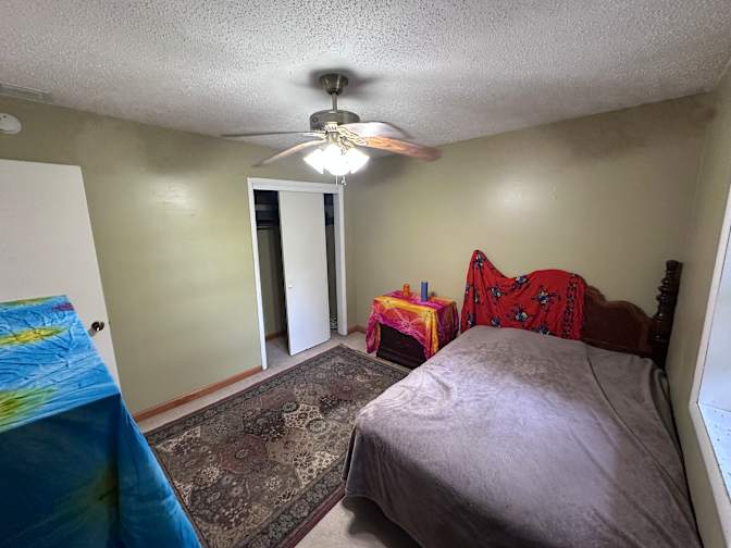 Skip's room