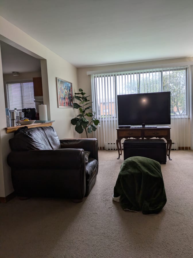 Michael's room