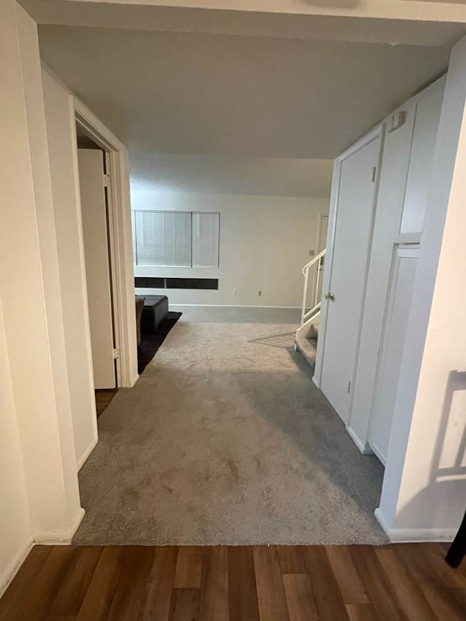 Taylor's room