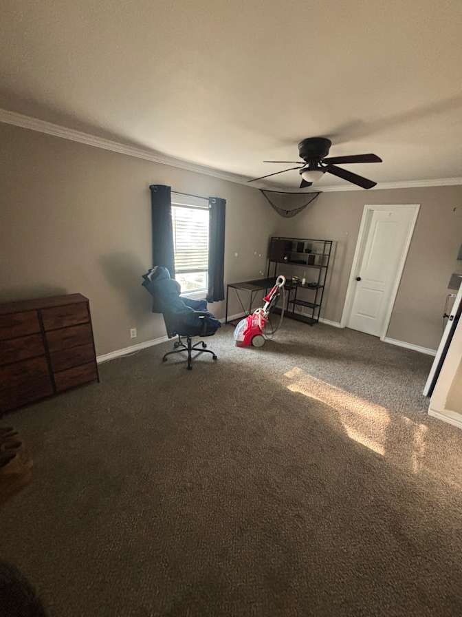 Pauline's room