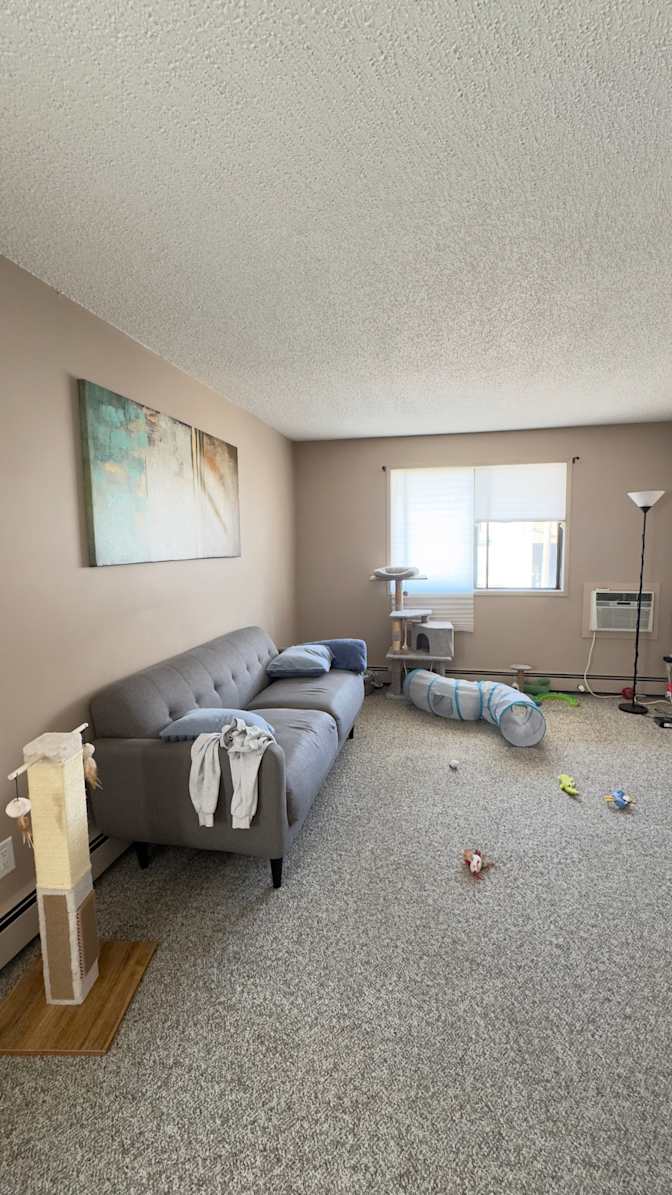 Dorelyn's room