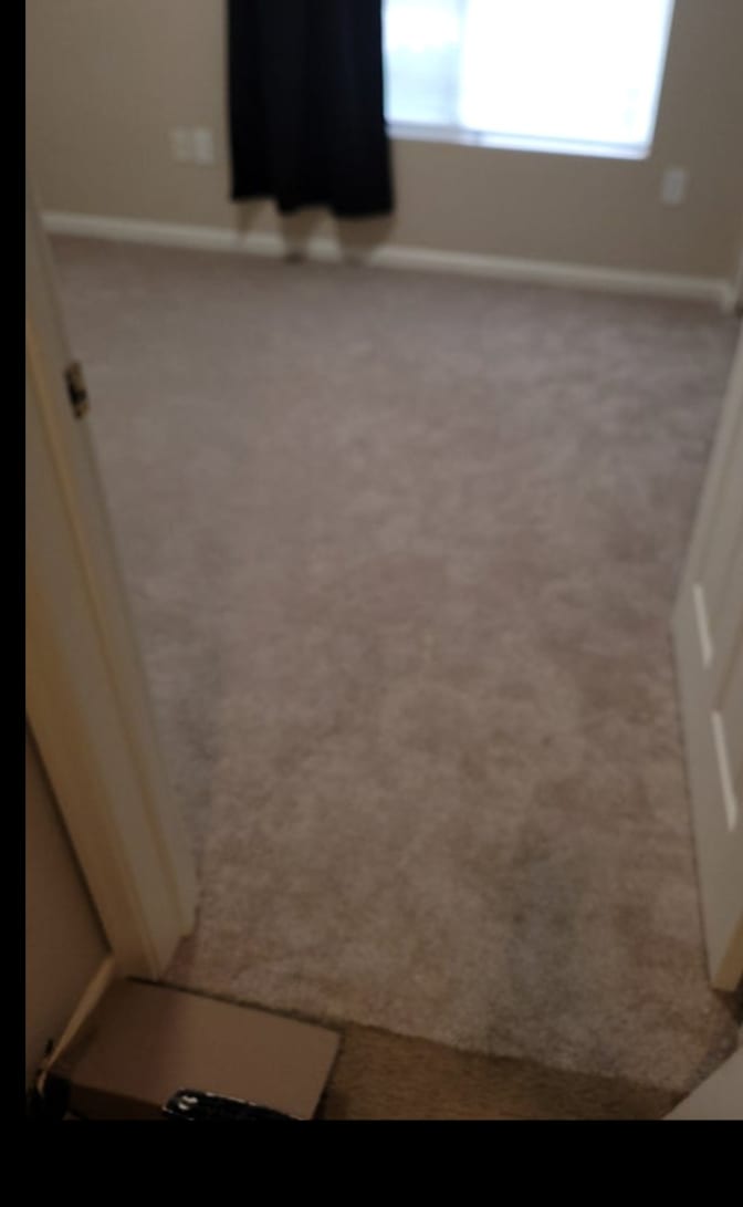 Tyler's room
