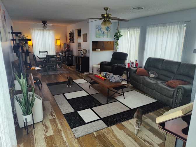 Mark Fain's room
