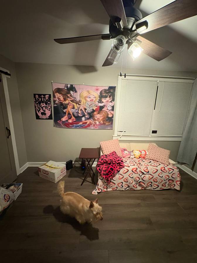 Chanelle's room