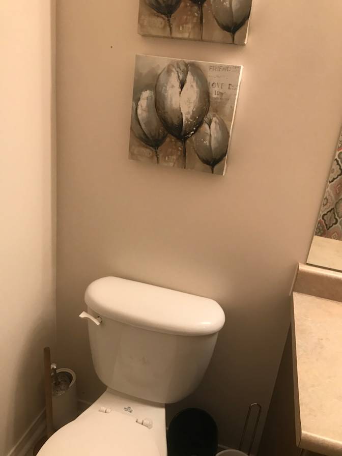 Shelly-Ann Green's room