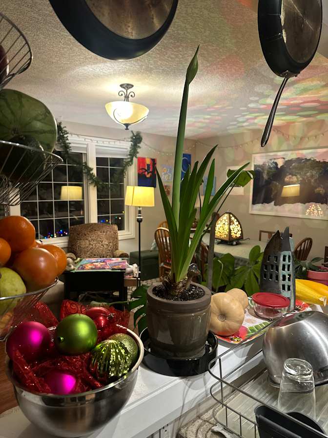 Tracey's room