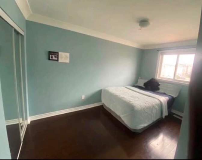 BeerVikram Bhadoria's room