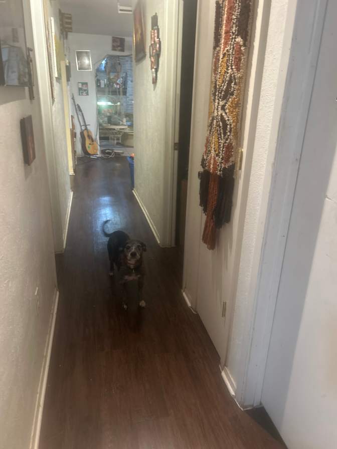 Kathryn Porter's room