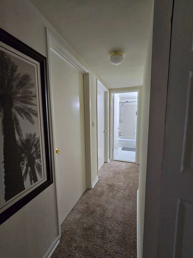 MARIO's room