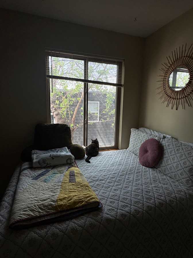 Kamryn's room