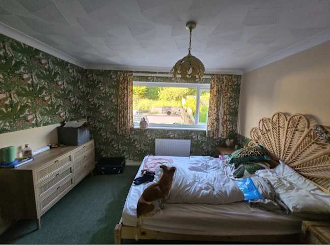 Lauren's room