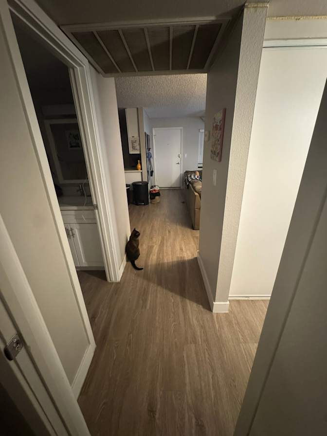 Christina's room